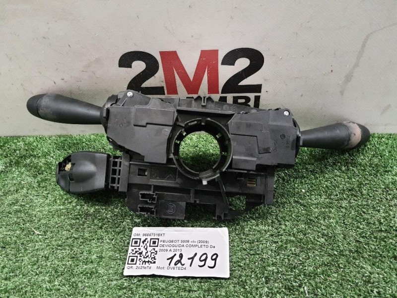 Devioguida Completo 96667318XT Peugeot 3008 I 2009