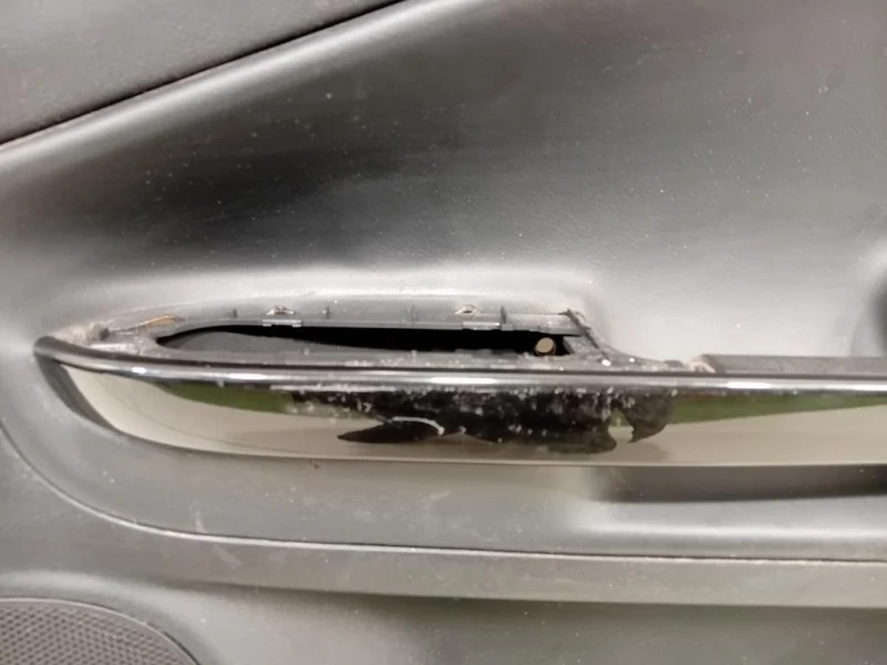 Pannello Rivestimento Porta ANT DX Alfa Romeo Giulietta 2013