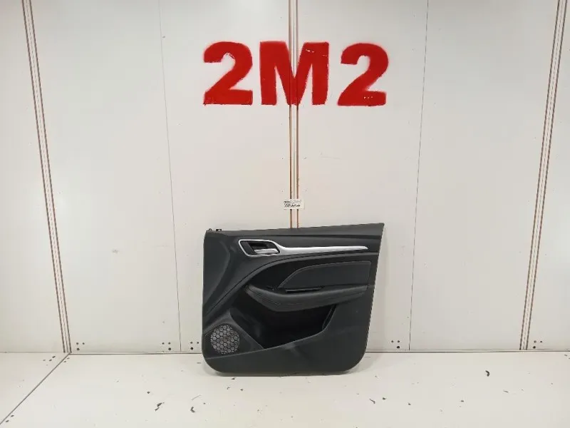 Pannello Rivestimento Porta ANT DX PANNELLO RIVESTIMENTO PORTA ANT DX Mg ZS II 2020