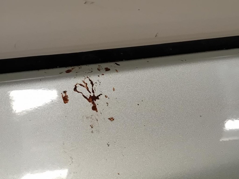 Pannello Rivestimento Porta POST DX PANNELLO RIVES PORTA POSTDX Fiat 500L 2013