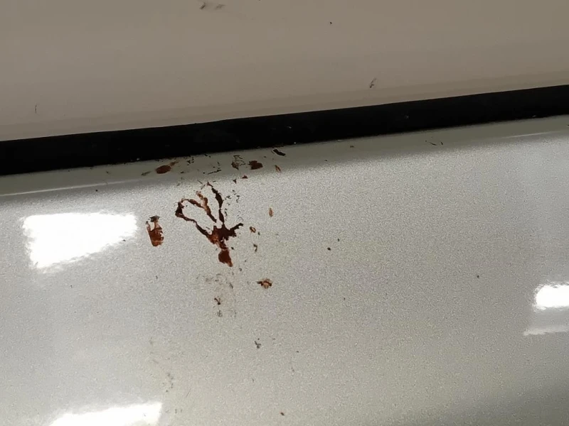 Pannello Rivestimento Porta POST DX PANNELLO RIVES PORTA POSTDX Fiat 500L 2013