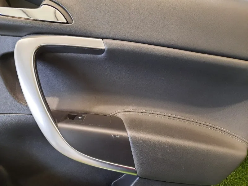 Pannello Rivestimento Porta POST DX 13277374 Opel Insignia A 2009