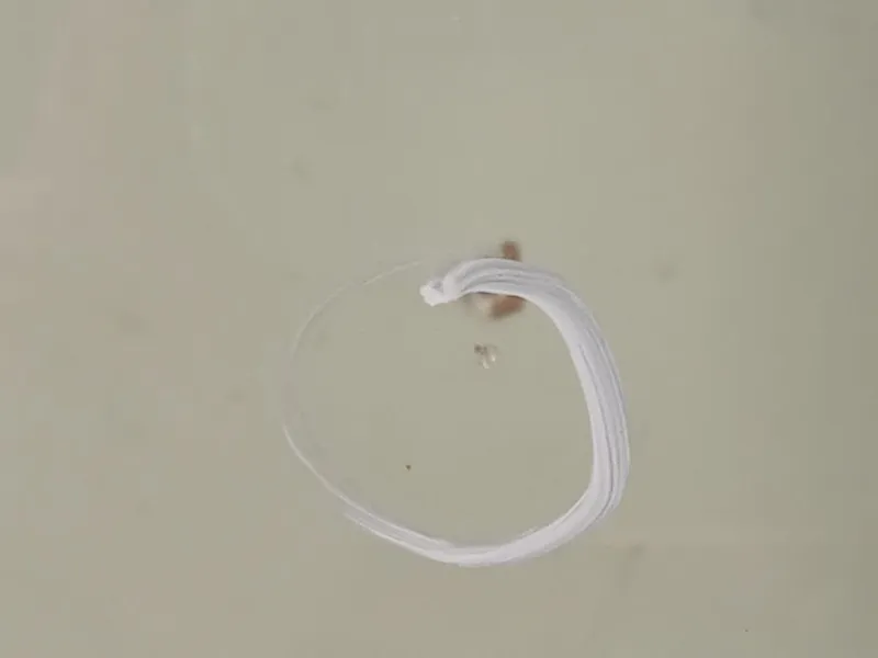 Parabrezza A1666701001 Mercedes Classe ML W166 2012