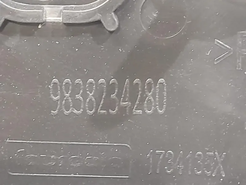 Supporto Spoiler Paraurti POST 9838234280 Peugeot 3008 II 2016