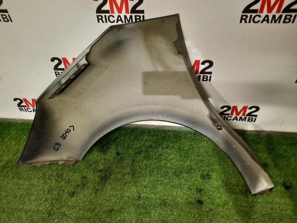 Parafango ANT DX 7841Z7 Citroen C3 II 2010