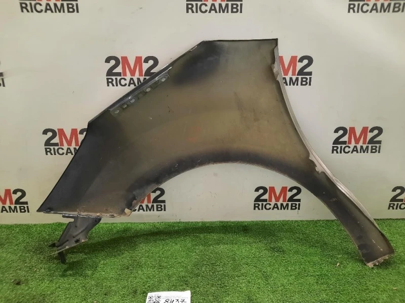 Parafango ANT DX 7841Z7 Citroen C3 II 2013