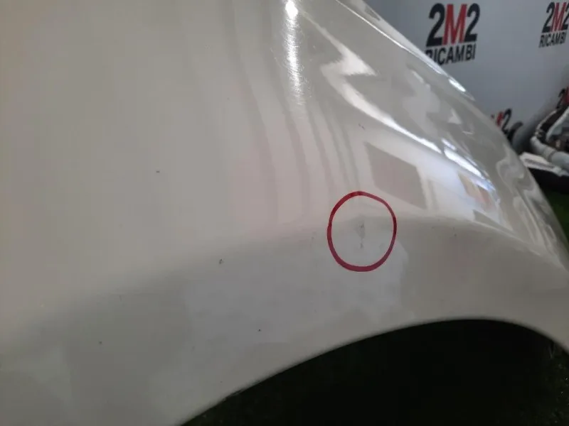 Parafango ANT DX 52015755 DX Fiat 500 II 2008