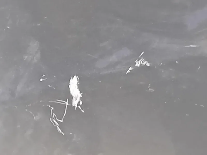 Parafango ANT DX 5216949 Ford KUGA II 2013