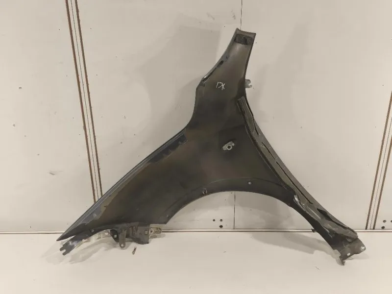 Parafango ANT DX F31001KKAA Nissan JUKE I 2010