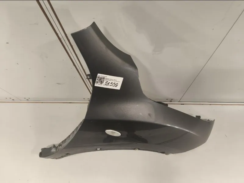 Parafango ANT DX F31001KKAA Nissan JUKE I 2010