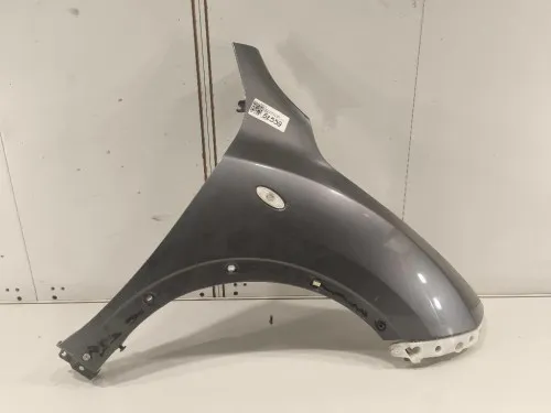 Parafango ANT DX F31001KKAA Nissan JUKE I 2010