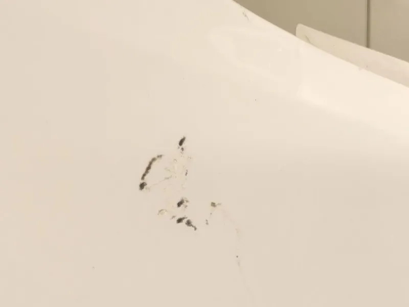 Parafango ANT DX 42372138 Opel Mokka 2013