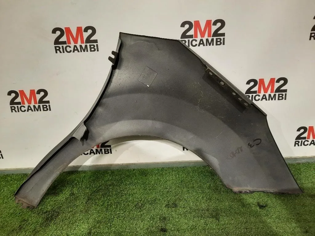 Parafango ANT SX DIFFETTI IN FOTO Citroen C3 II 2010