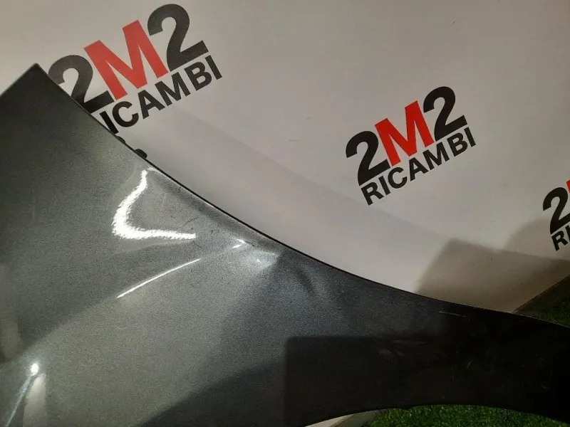 Parafango ANT SX DIFFETTI IN FOTO Citroen C3 II 2010