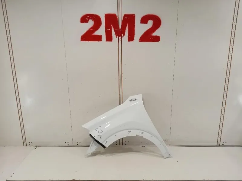 Parafango ANT SX PARAFANGO ANT SX Citroen C3 Aircross 2021