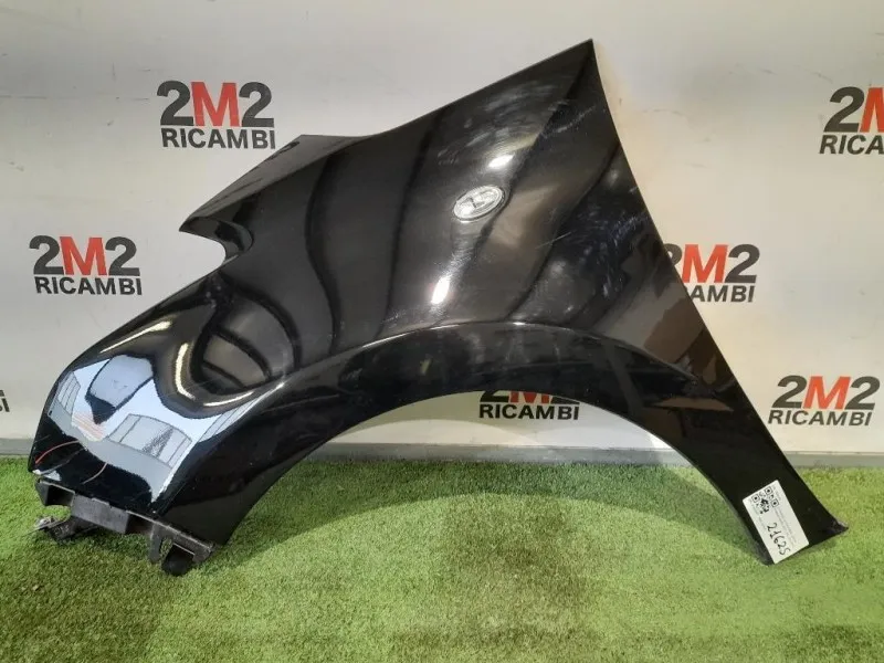 Parafango ANT SX 7840X0 Citroen C3 Picasso 2013