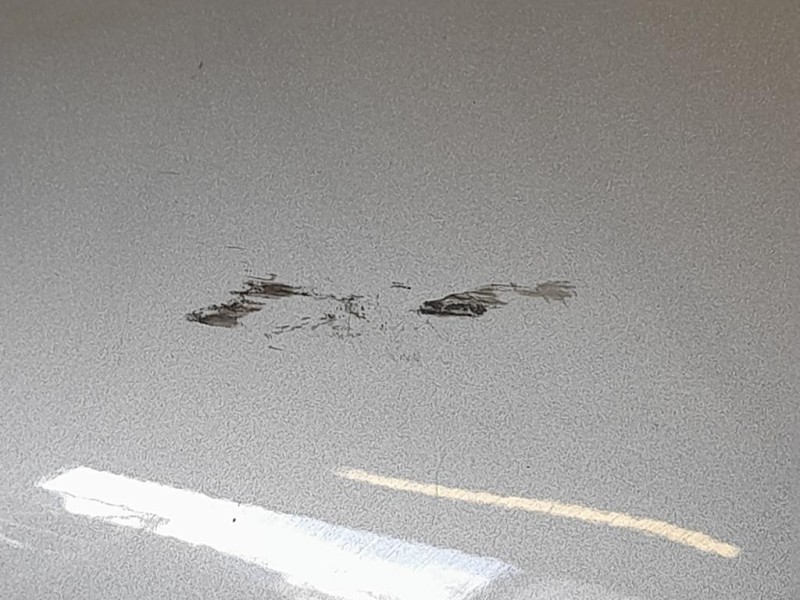 Parafango ANT SX 8X2316135 Jaguar XF I 2008