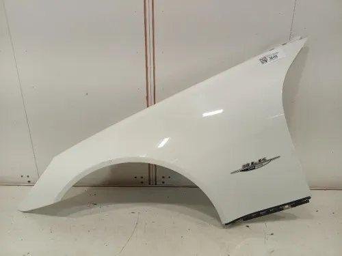 Parafango ANT SX A1718810114 Mercedes Classe SLK R171 2004