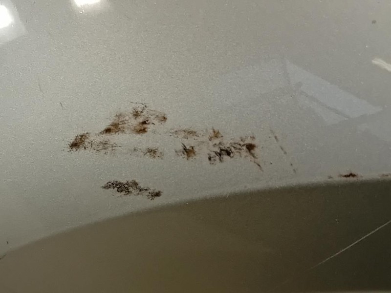 Parafango ANT SX 42372137 Opel Mokka 2013