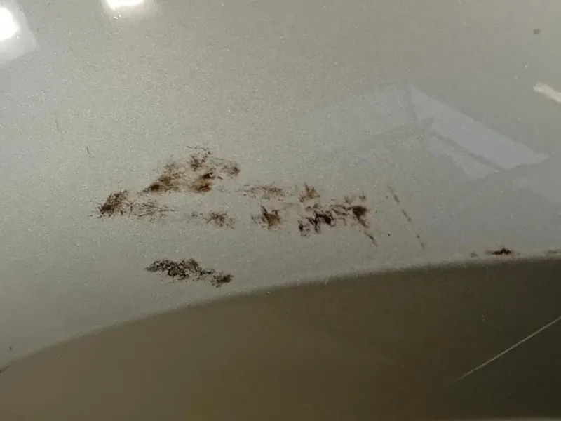 Parafango ANT SX 42372137 Opel Mokka 2013