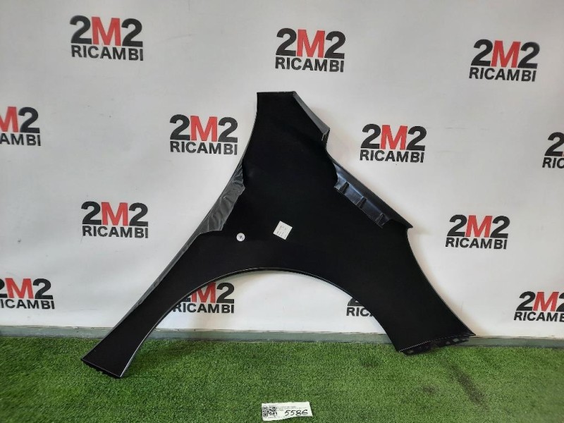 Parafango ANT SX PG3203014 Peugeot 207 2006