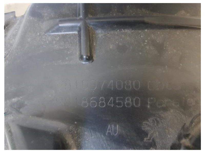 Parasassi Passaruota Interno ANT DX 9819974080 9818684580 Peugeot 308 I 2012