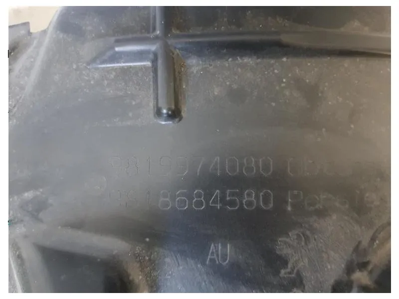 Parasassi Passaruota Interno ANT DX 9819974080 9818684580 Peugeot 308 I 2012