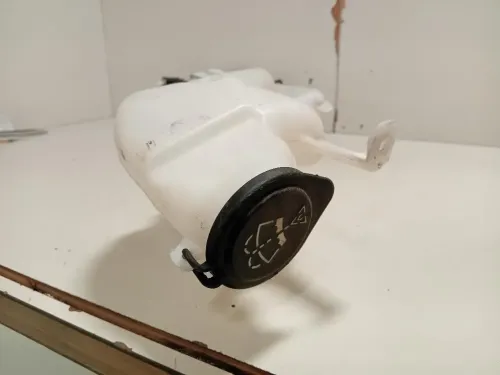 Vaschetta Tergicristalli 160816-00 Mini MINI Cooper R56 2007