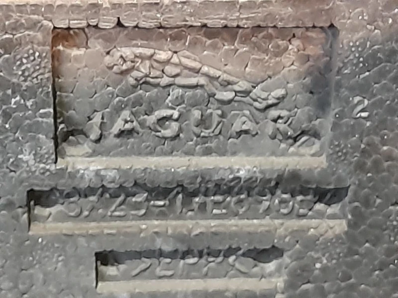 Paraurti ANT C2Z8838XXX Jaguar XF I 2008