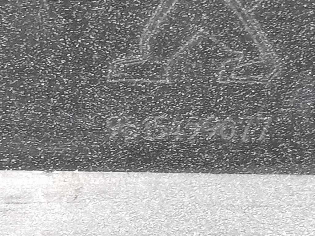 Paraurti ANT 9815499077 Peugeot 3008 II 2016