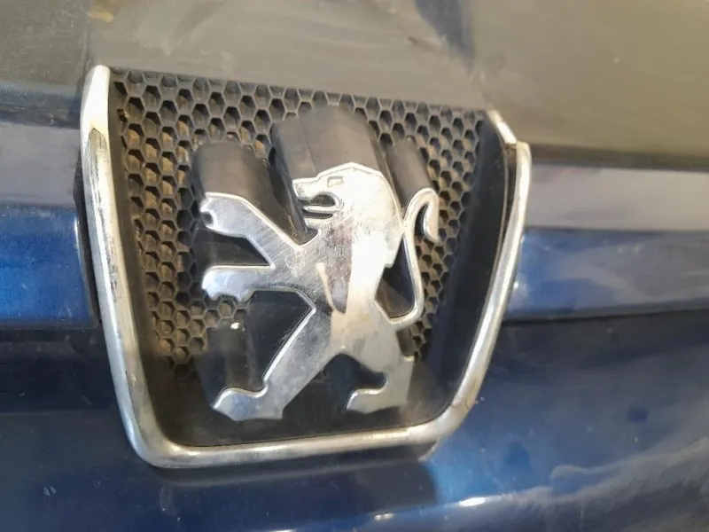 Paraurti ANT 9643067477 Peugeot 307 II 2005