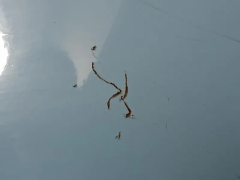 Paraurti POST 735125627 Fiat 500 II 2015