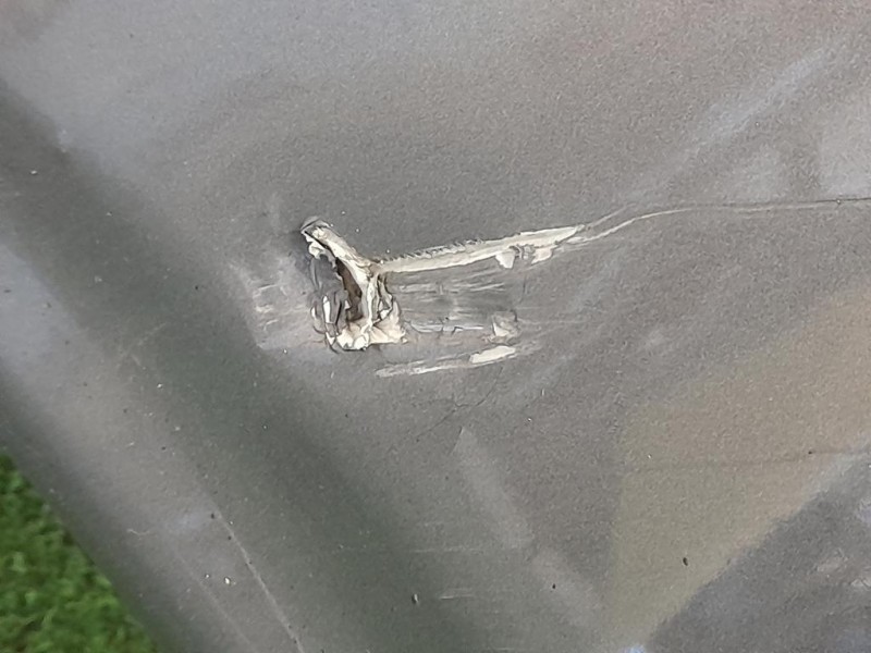 Paraurti POST BM51A17906A Ford Focus IV 2011