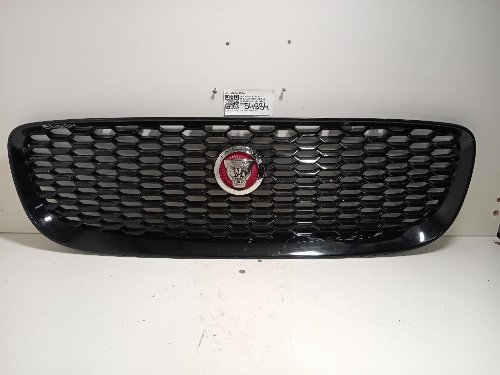 Griglia DI Ventilazione Paraurti ANT J9C3-8A100-AA Jaguar F-pace 2015