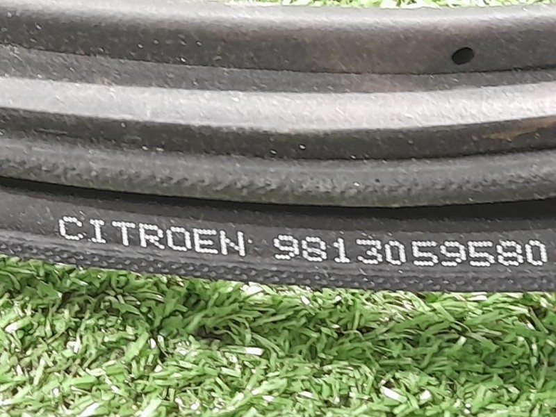 Guarnizione ANT Porta ANT DX 9813059580 DX Citroen C3 III 2016