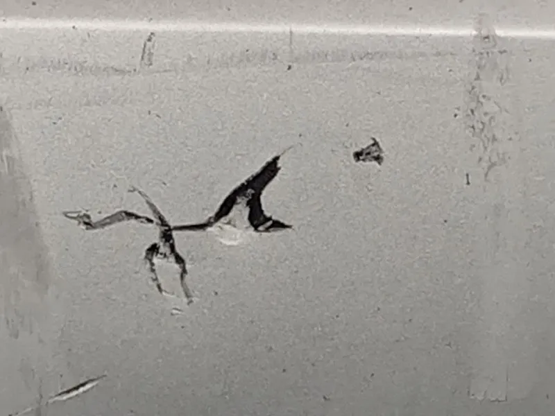 Paraurti POST 95352038 Opel Mokka 2013