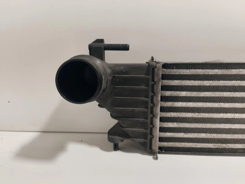 Intercooler 51887954 Fiat 500L 2013