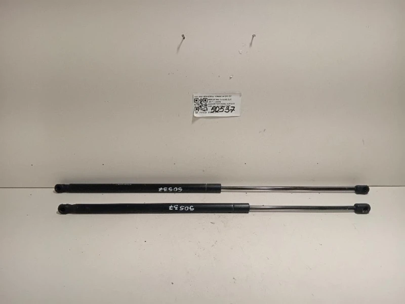 KIT Ammortizzatori ANT A19188001298A1719800164 DX+SX Mercedes Classe SLK R171 2004