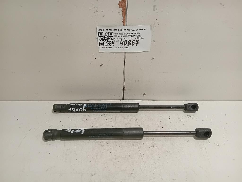 KIT Ammortizzatori ANT 5123 7300567-065123 7300567-06 DX+SX Mini MINI Cooper F56 2014