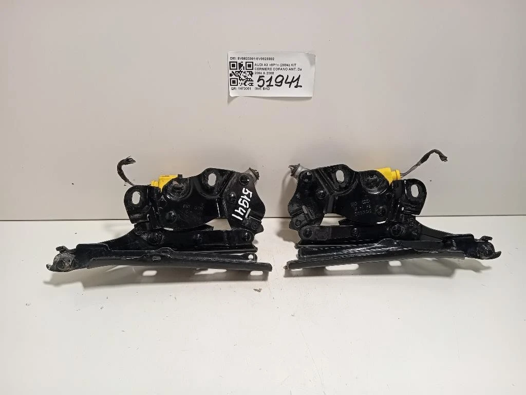 KIT Cerniere Cofano ANT 8V08233018V0823302 Audi A3 8P1 2004