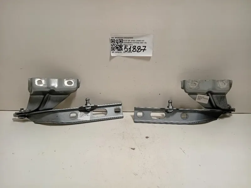 KIT Cerniere Cofano ANT 8R08233018R0823302 Audi Q5 8RB 2009