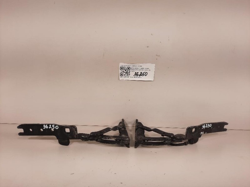 KIT Cerniere Cofano ANT 82403338240334 DX+SX Bmw Serie 7 E66 2003