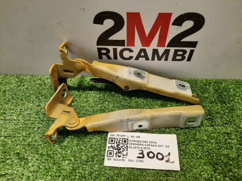 KIT Cerniere Cofano ANT 7912F7 Citroen DS3 2010