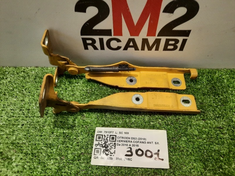 KIT Cerniere Cofano ANT 7912F7 Citroen DS3 2010