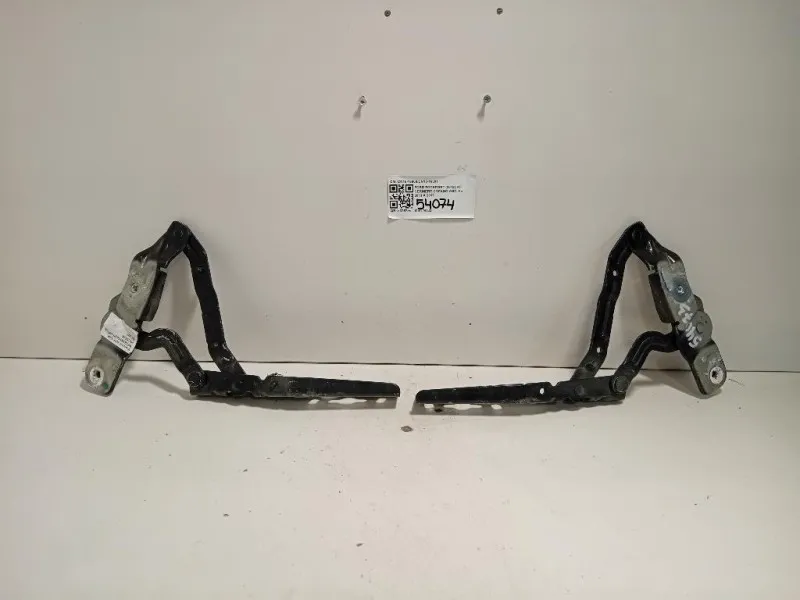 KIT Cerniere Cofano ANT CN15-16800CN15-16801 Ford Ecosport 2013