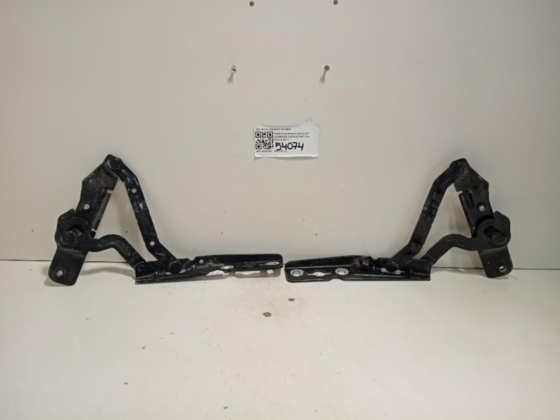 KIT Cerniere Cofano ANT CN15-16800CN15-16801 Ford Ecosport 2013