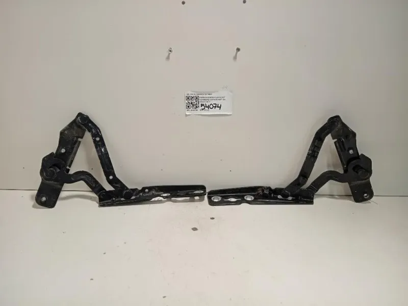 KIT Cerniere Cofano ANT CN15-16800CN15-16801 Ford Ecosport 2013