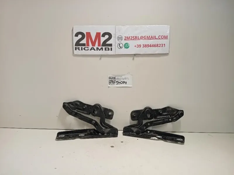 KIT Cerniere Cofano ANT CN15-16800CN15-16801 Ford Ecosport 2013