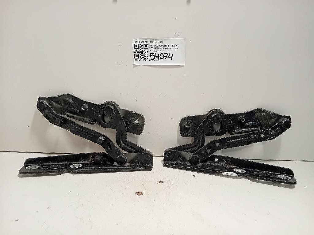 KIT Cerniere Cofano ANT CN15-16800CN15-16801 Ford Ecosport 2013
