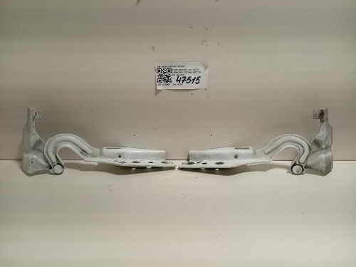 KIT Cerniere Cofano ANT AB39-16801AA DX+SX Ford Ranger IV 2012